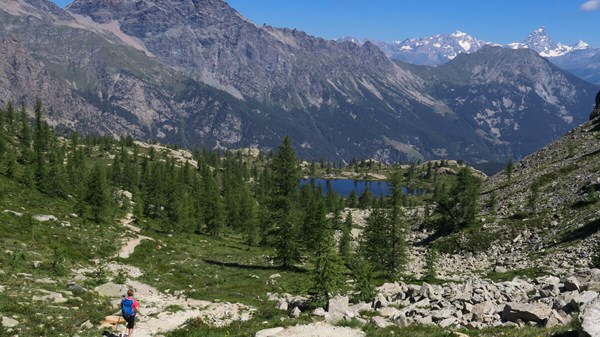 Guide escursionistiche La Genziana