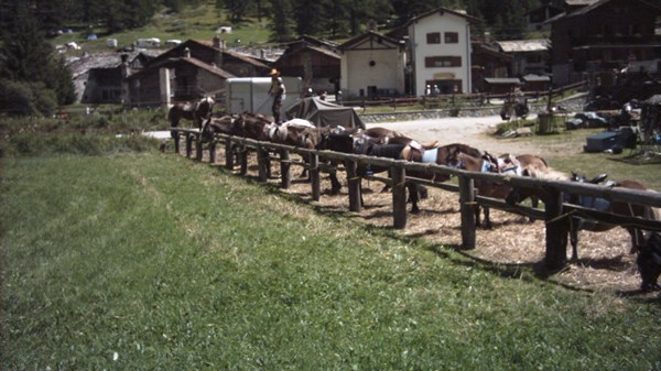 Centro turismo equestre Le Traîneau