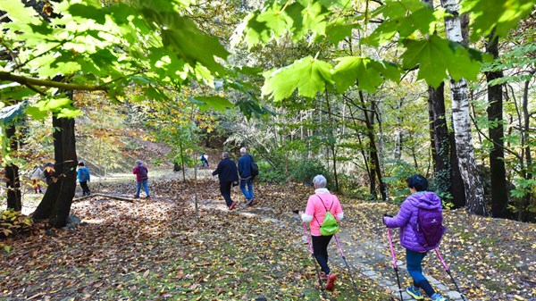 Hiking guides - individual professionals