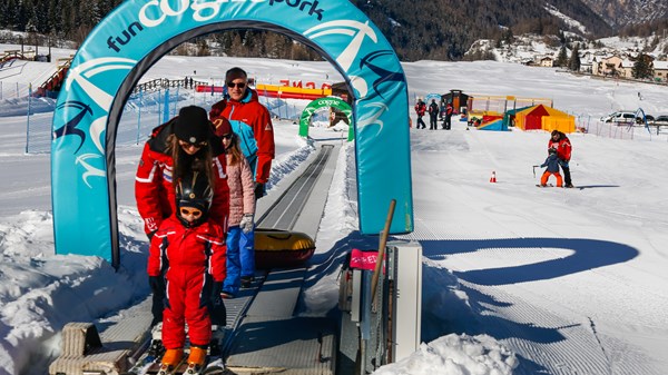 Single professional ski instructors
