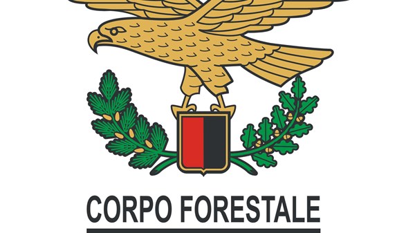 Forest station