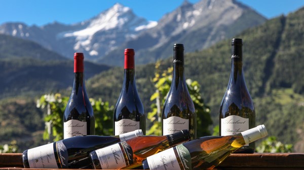 Azienda vitivinicola Maison Anselmet