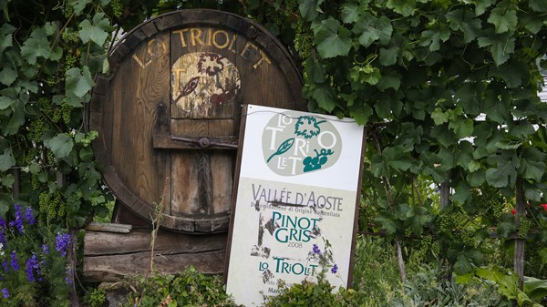 Azienda vitivinicola Lo Triolet