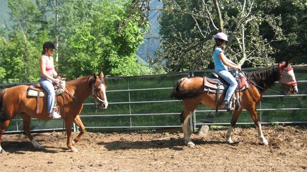 Maneggio Wild Horses