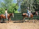 Picadero Wild Horses