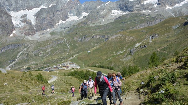 NaturAlp - Natura in movimento - Guide tra Natura e Cultura