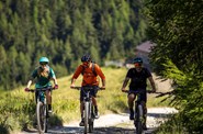 En vélo sur la Route des vins