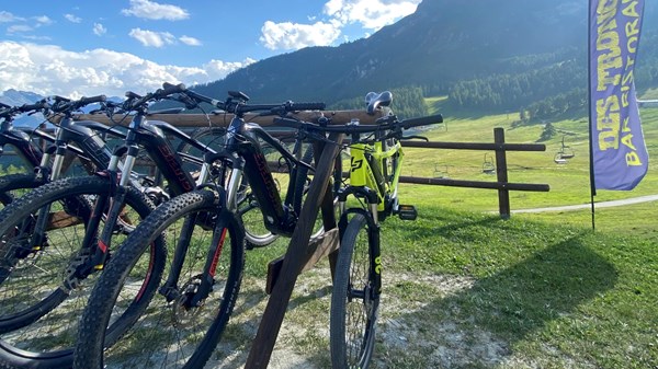 Noleggio Mountain Bike e e-bike "Des Troncs"