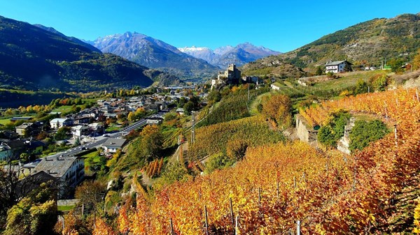 Azienda vitivinicola (Weingut) Di Francesco-Gasperi Vino&Spiriti