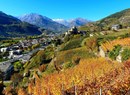 Azienda vitivinicola (Weingut) Di Francesco-Gasperi Vino&Spiriti