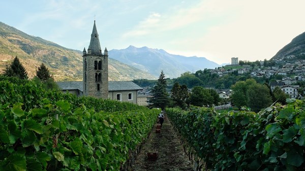 Azienda vitivinicola (Weingut) Château Feuillet