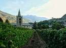 Azienda vitivinicola Château Feuillet 