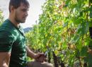 La Plantze Winery
