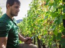 Exploitation viticole La Plantze