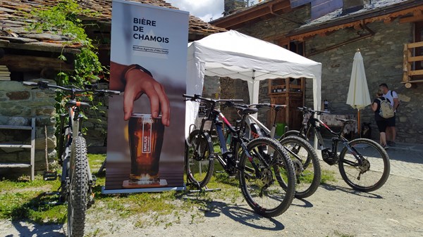 E-bikes & mountain bikes rent