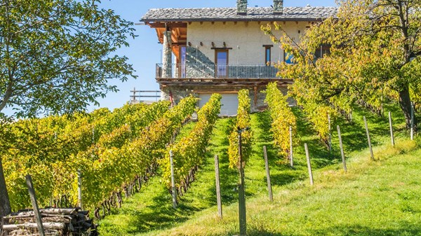 Les Granges s.s. Winery