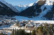 Capodanno in slitta nel Parco