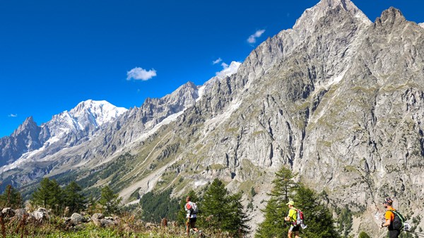 Singoli professionisti - Accompagnatori di media montagna