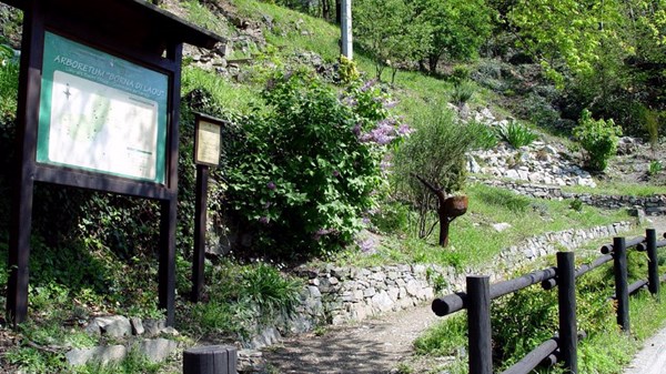 "Borna di Laou" Arboretum