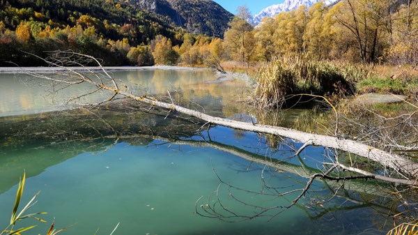 Réserve naturelle du Marais
