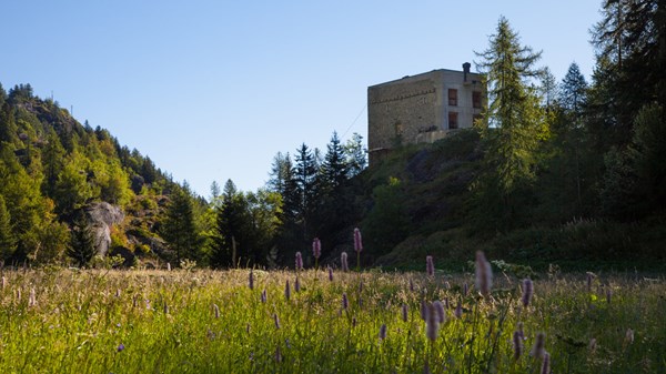 Maison forte des Seigneurs d'Avise à Planaval
