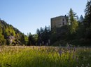 Maison forte des Seigneurs d'Avise à Planaval