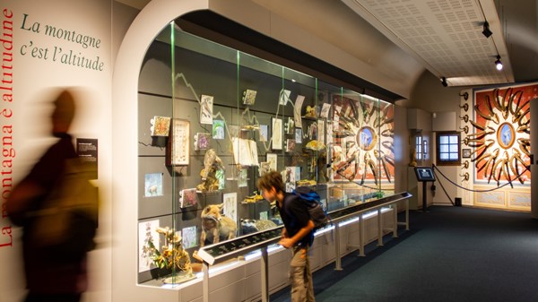 Musée des Alpes
