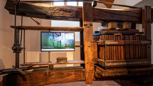 Museo de la vid y del vino