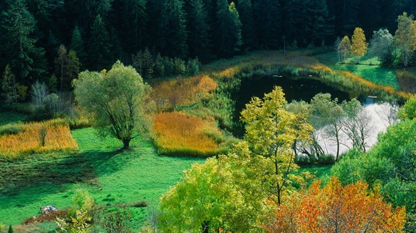 Réserve naturelle Lac de Lolair