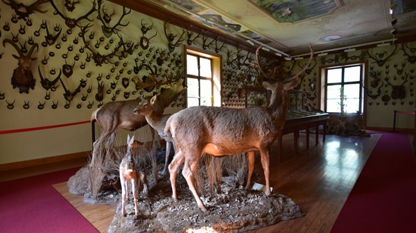 Musée régional de la faune alpine "Beck-Peccoz"
