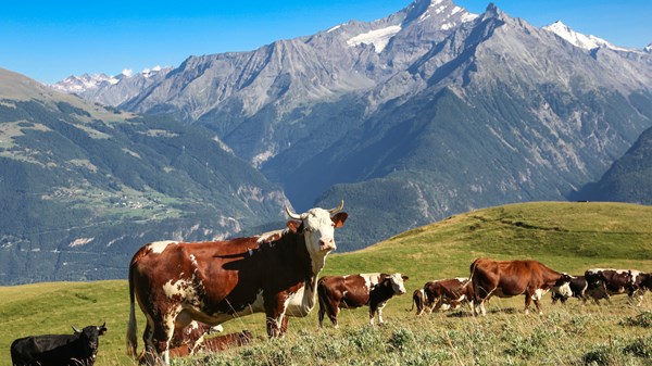 La Reina educational farm