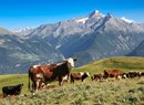 Ferme pédagogique La Reina