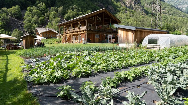 Naturalys farm
