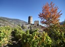 Tastes and scents of Gran Paradiso: from the bottom of the valley to Valgrisenche