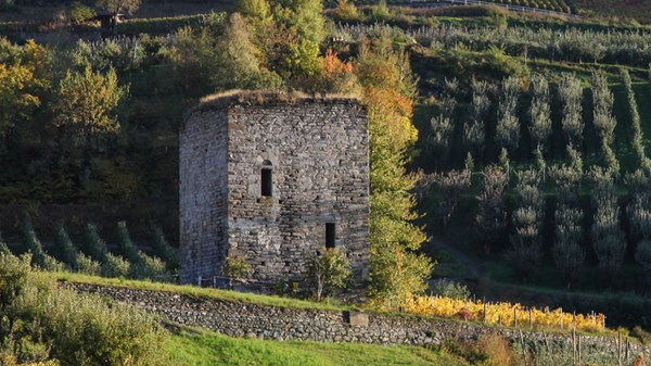 Tour de la Plantà