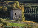 Turm der Plantà