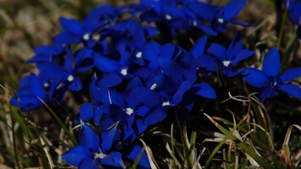 Parco Nazionale del Gran Paradiso