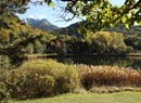 Riserva naturale Lago di Villa