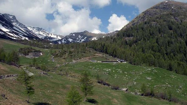 Alpe Ars lungo il ru Collet
