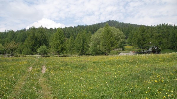 Col de Joux - Tête de Comagna
