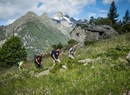 Niel - Col de Lazouney