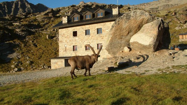 Praviou - Rifugio F. Chabod