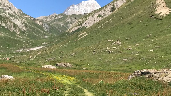 Faubourg - Col d'Arp - Vallone di Youlaz