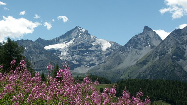 Monte Grivola - 3969 Meter
