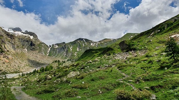 Arp-Nouvaz - Rifugio Elena - Col du Grand-Ferret