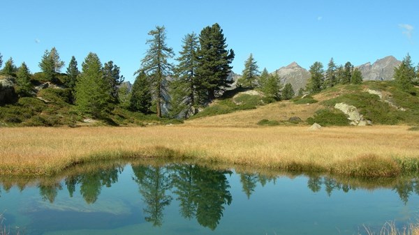 Ondrò Verdebio - Bronne Valle dei Principi