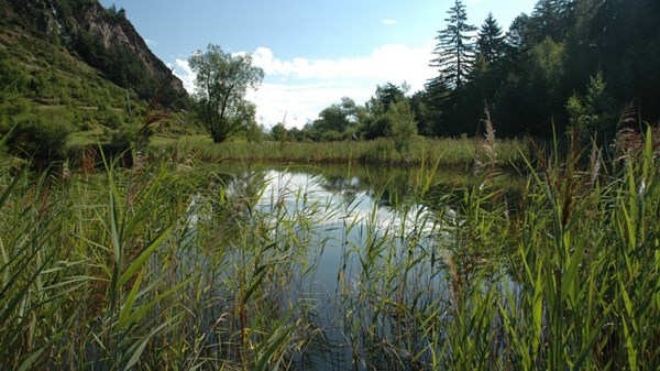 La Ravoire - Réserve naturelle Lac de Lolair
