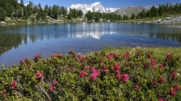 Col Saint-Charles - Lac d'Arpy