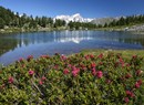 Colle San Carlo - Lac d'Arpy