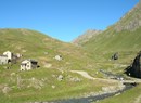 Chardonney - Berghütte Dondena